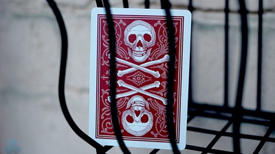 Bicycle Skull & Bone