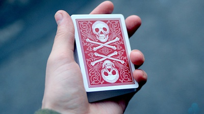 Bicycle Skull & Bone