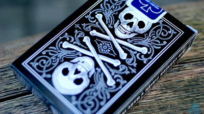 Bicycle Skull & Bone