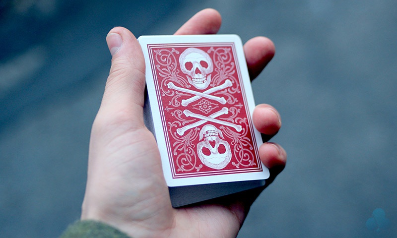 Bicycle Skull & Bone