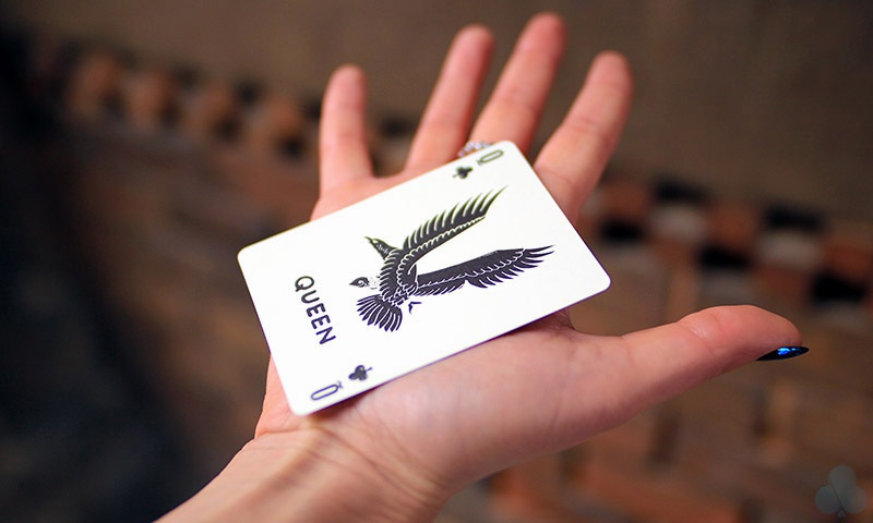 Camp Cards, Winter Ed. Camp Cards, Winter Ed.