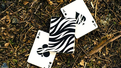 Z Deck Z Deck