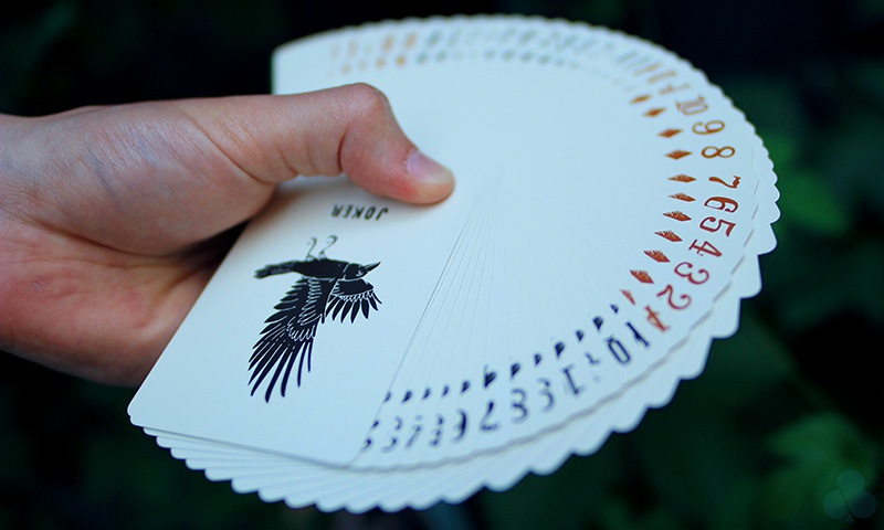 Camp Cards, Ranger Ed. Camp Cards, Ranger Ed.