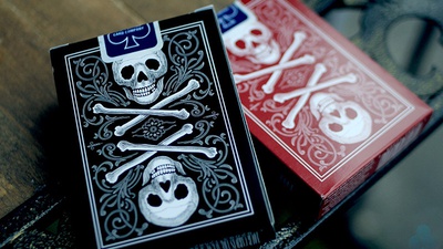 Bicycle Skull & Bone