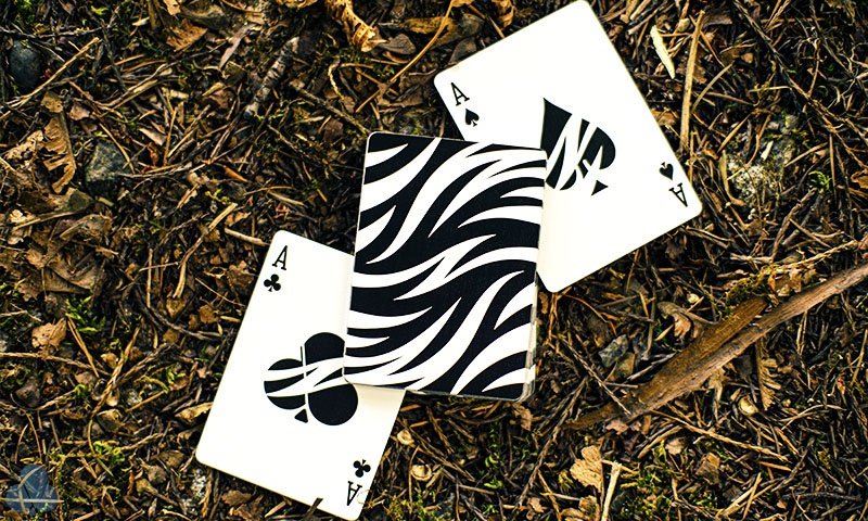 Z Deck Z Deck
