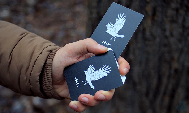 Camp Cards Camp Cards