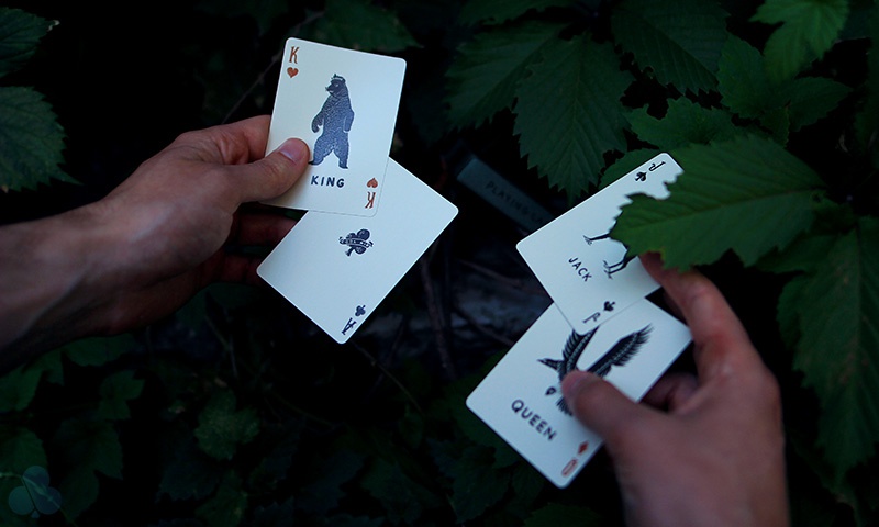 Camp Cards, Ranger Ed. Camp Cards, Ranger Ed.