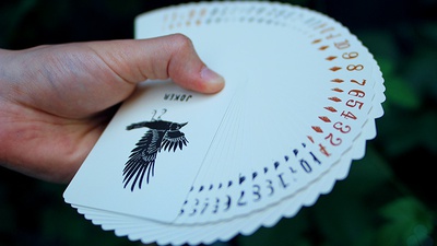 Camp Cards, Ranger Ed. Camp Cards, Ranger Ed.