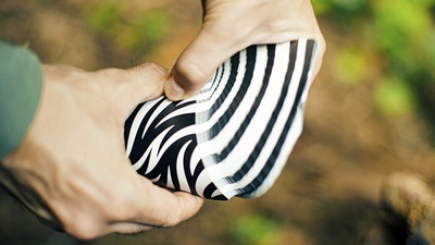 Z Deck Z Deck