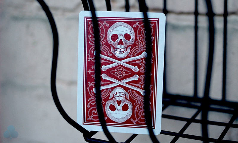 Bicycle Skull & Bone