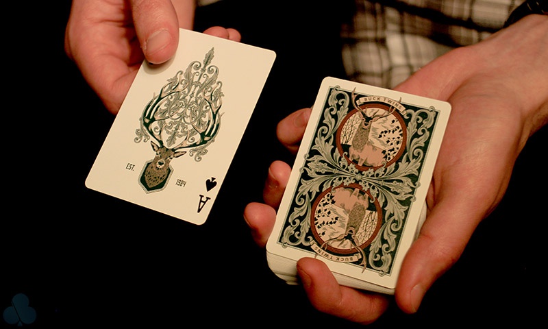 Antler Limited Edition