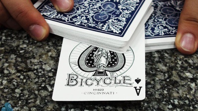 Bicycle Vintage Safety Back