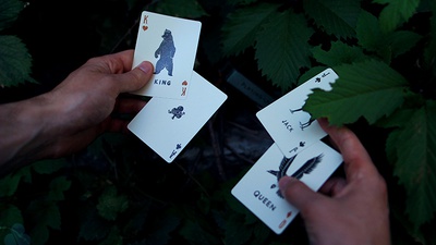Camp Cards, Ranger Ed. Camp Cards, Ranger Ed.