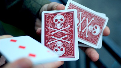 Bicycle Skull & Bone