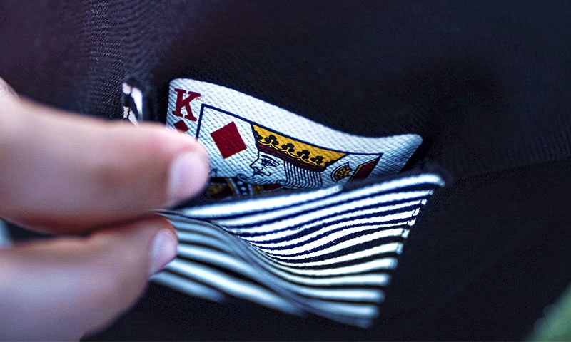 Zebra Polo Zebra Polo