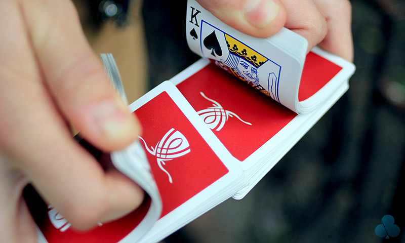 Bee Wynn • Buy playing cards & magic props